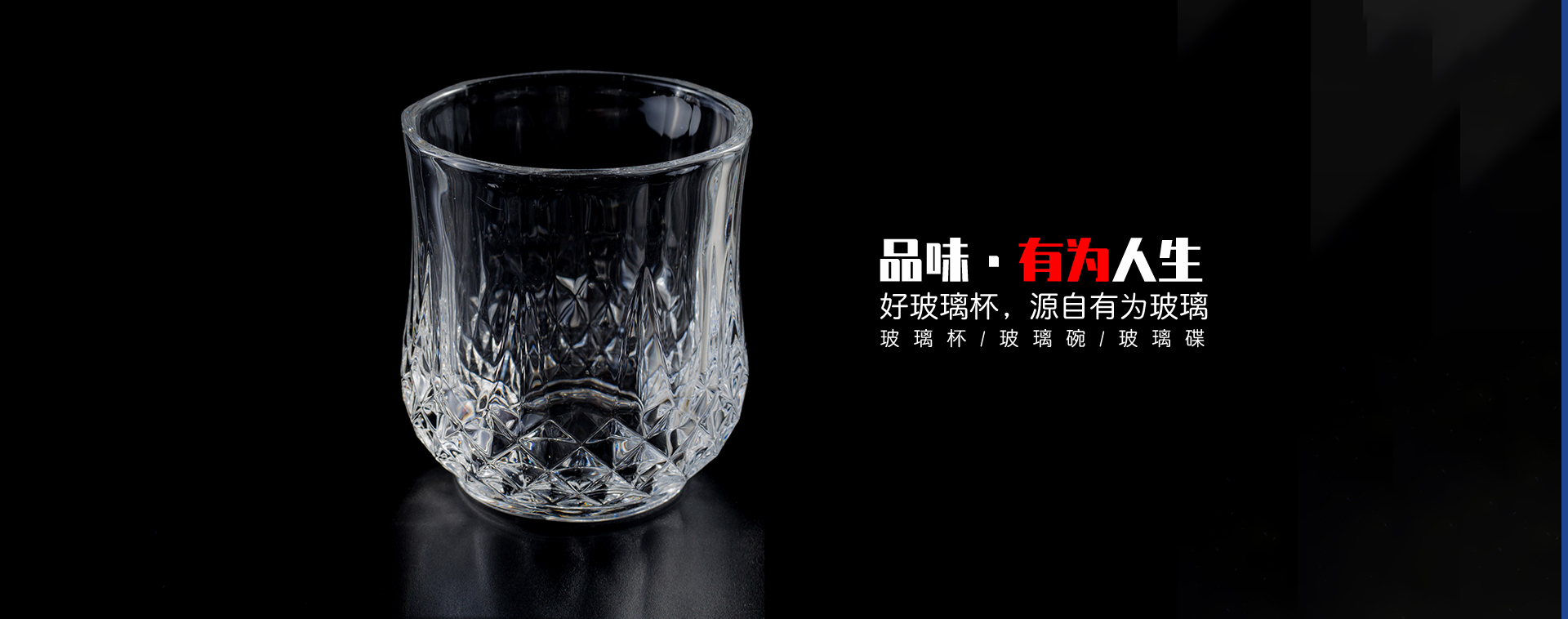 91视频一区二区